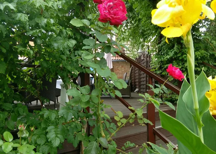 Lindenhof Brandenburg (Brandenburg an der Havel)